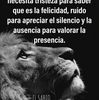 miamor4281